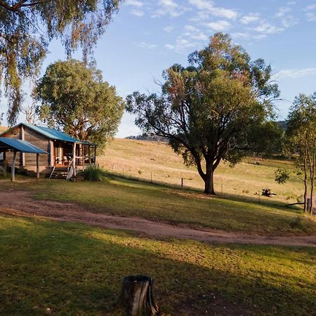Gaddleen Grove Cottages Wodonga Eksteriør billede