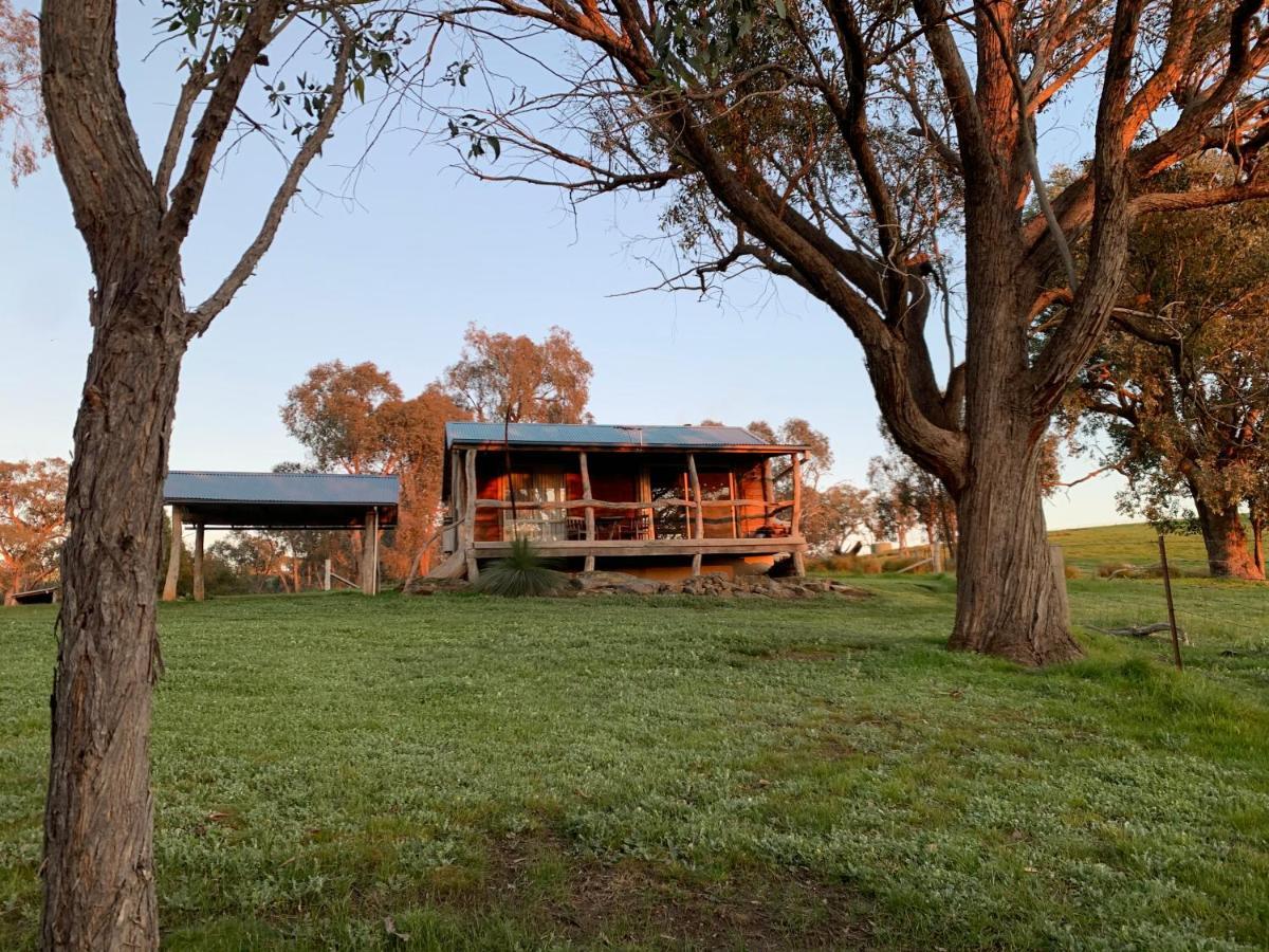 Gaddleen Grove Cottages Wodonga Eksteriør billede