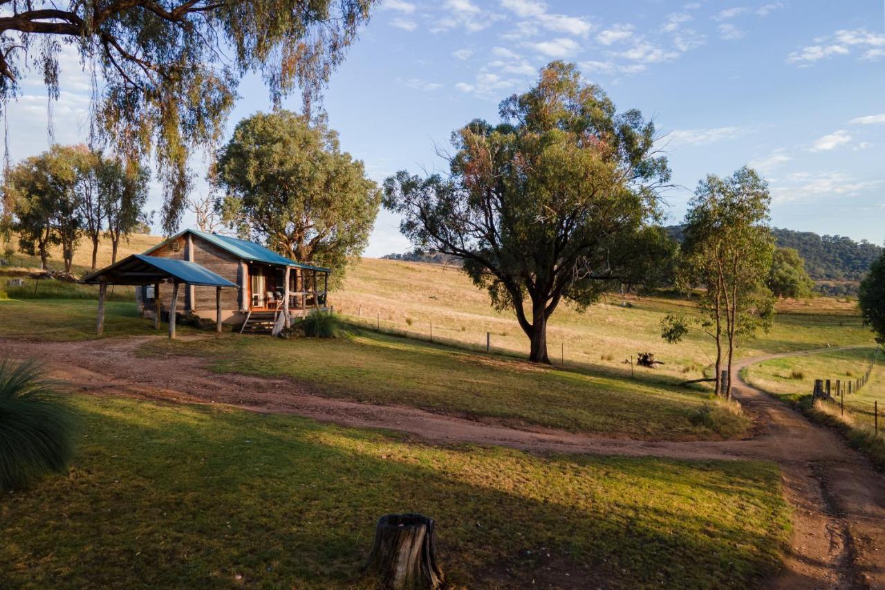 Gaddleen Grove Cottages Wodonga Eksteriør billede