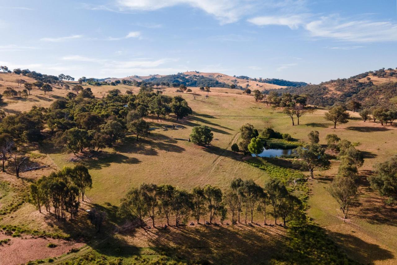 Gaddleen Grove Cottages Wodonga Eksteriør billede