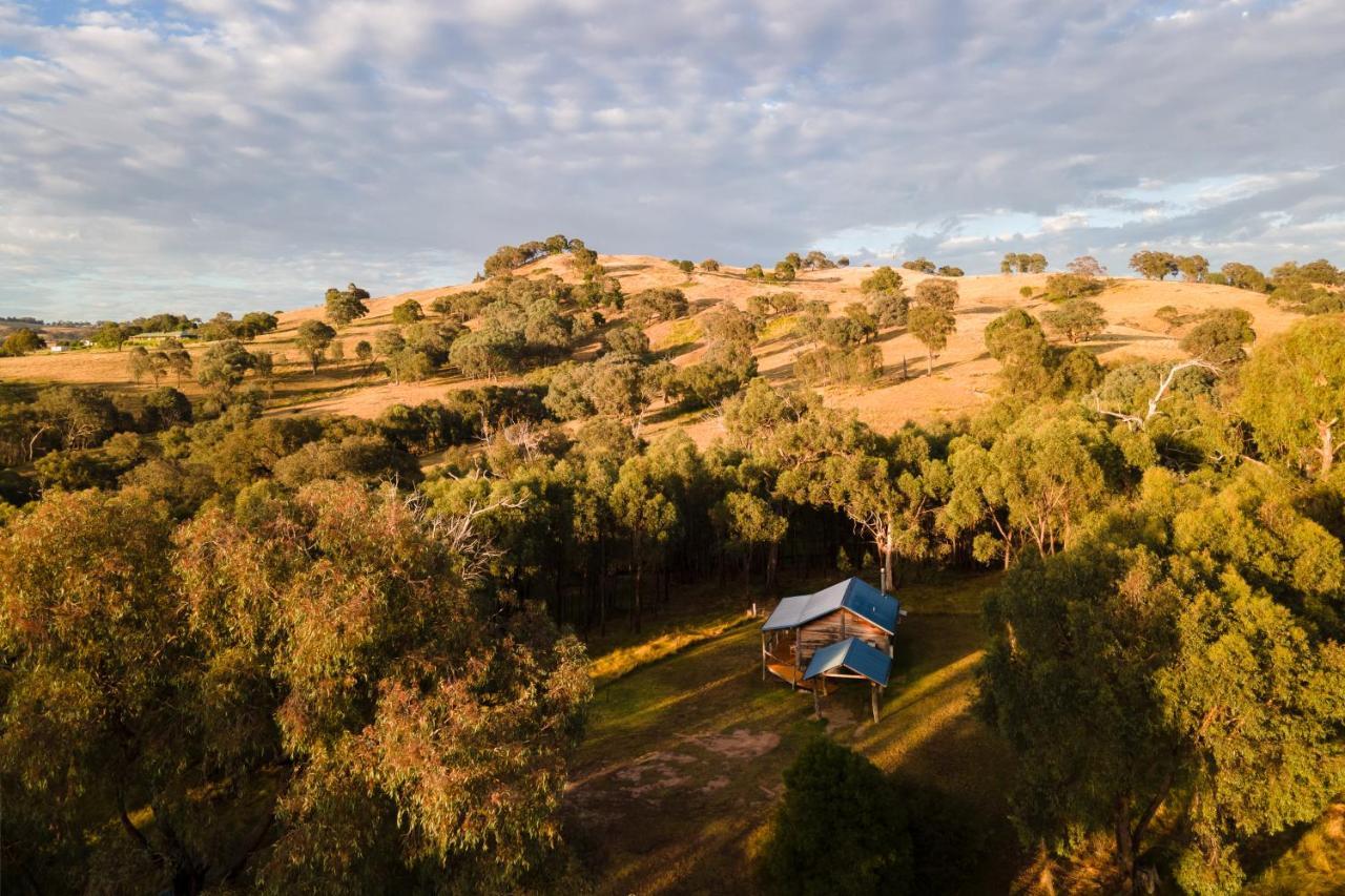 Gaddleen Grove Cottages Wodonga Eksteriør billede